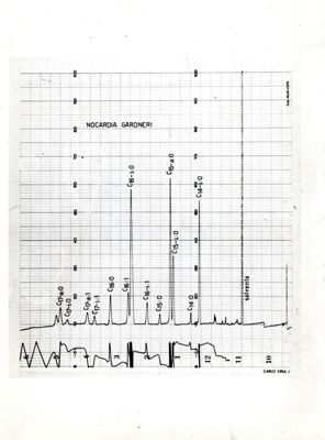 Grafico relativo a studi ignoti