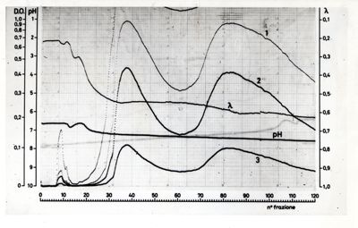 Grafici e tabelle che si riferiscono a caratteristiche ed esperimenti sui fosfolipidi