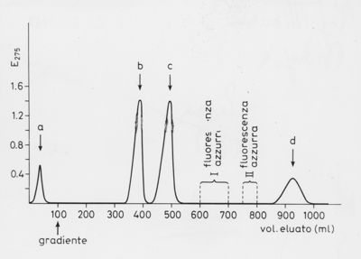 Grafici su studi ignoti