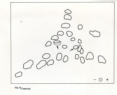 Grafici e gel su studi ignoti