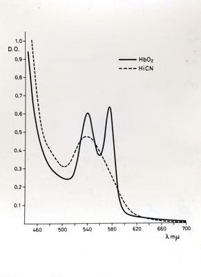 Grafico che si riferisce a studi ignoti