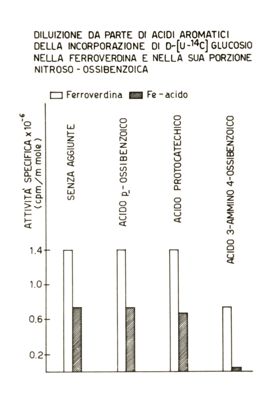 Tabella riguardante la Ferroverdina