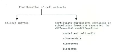 Frazionamento di estratti cellulari