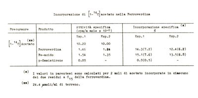 Tabella riguardante la Ferroverdina