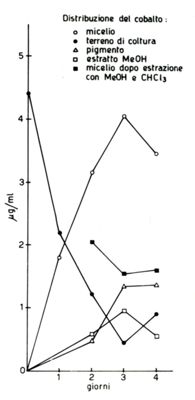 Grafico riguardante la distribuzione del cobalto