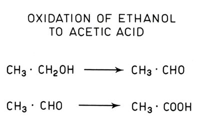 Analisi di pathway metabolici