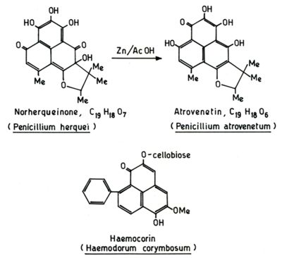 Studi metabolici di miceti