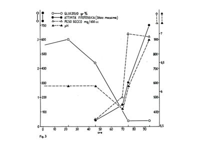 Grafico riguardante il glucosio, l'attività fitossica, il peso secco e il pH