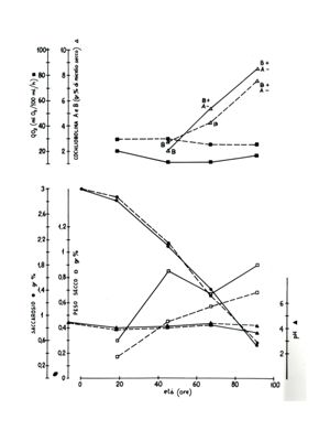 Due grafici riguardanti il saccarosio e la cochliobolina A e B