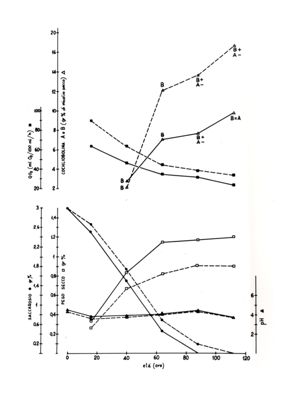 Due grafici riguardanti il saccarosio e la cochliobolina A e B