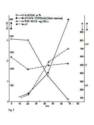 Grafico riguardante il glucosio, l'attività fitossica, il peso secco e il pH