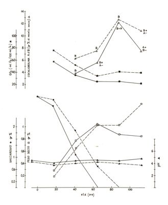 Due grafici riguardanti il saccarosio e la cochliobolina A e B