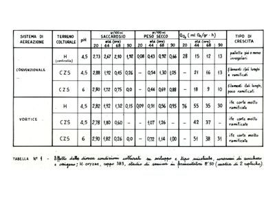 Tabella N. 1 - Effetto delle diverse condizioni colturali su sviluppo e tipo miceliale, consumi di zucchero e ossigeno; H. orizae, ceppo 383, stadio di semina in fermentatori lt. 50 (media di 2 repliche)