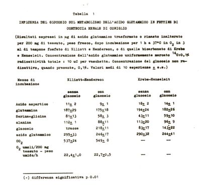 Studi in vivo sul metabolismo del glucosio