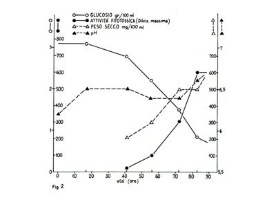 Grafico riguardante il glucosio, l'attività fitossica, il peso secco e il pH