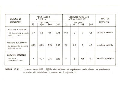 Tabella N. 2 - H. orizae, ceppo 383 - Effetto del sistema di agitazione sullo stadio di produzione in scala di laboratorio (media di 3 repliche)