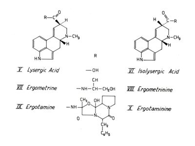 Studi farmacologici di prodotti naturali - Formule di struttura di Acido Lisergico, Ergometrina e Ergotamina