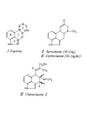 Studi farmacologici di prodotti naturali - Formule di struttura di Ergolina, Agroclavina, Elimoclavina e Cianoclavina-I