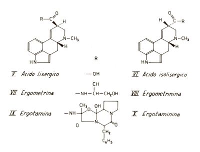 Studi farmacologici di prodotti naturali - Formule di struttura di Acido Lisergico, Ergometrina e Ergotamina