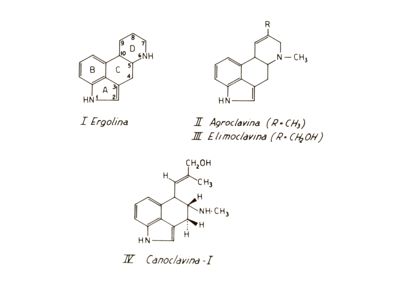 Studi farmacologici di prodotti naturali - Formule di struttura di Ergolina, Agroclavina, Elimoclavina e Clanoclavina