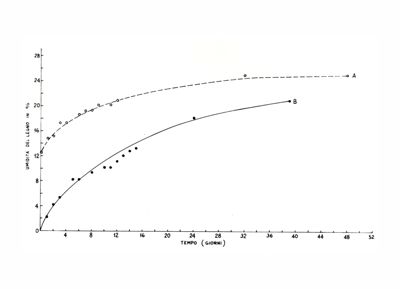 Grafico riguardante l'umidità del legno - asse delle ordinate: umidità del legno in %; asse delle ascisse: tempo (giorni)
