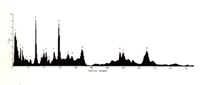 Spettro metabolico