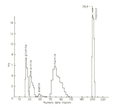 Spettroscopie di colture di Streptomyces