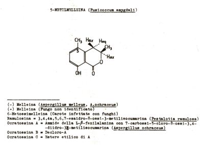 Formula della Metilmelleina estratta dal Fusicoccum amygdali