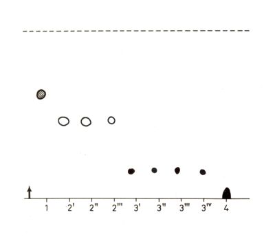 Studi di genetica di microrganismi