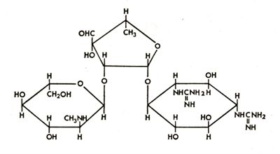 Formula di un polisaccaride