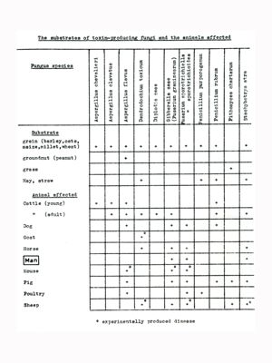 Studio sulle tossine prodotte da miceti