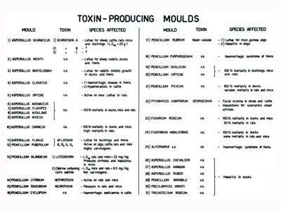 Studio sulle tossine prodotte da miceti