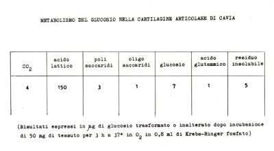 Metabolismo del glucosio nella cartilagine articolare di cavia