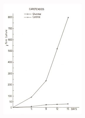 Quantificazioni di pigmenti di carotenoidi in colture di miceti