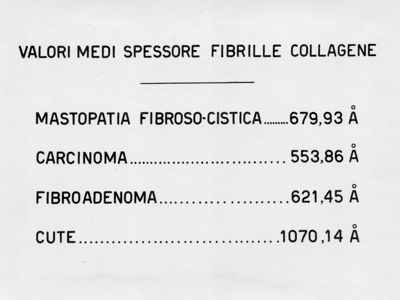 Fibrilla collagene