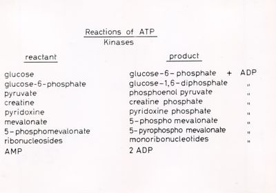 Reazioni di ATP - Chinasi