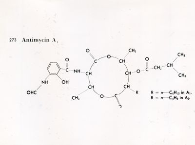 Formule di struttura riguardanti l'Antimicina A