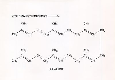 Formule di struttura riguardanti il 2 farnesilpirofostato e lo squalene