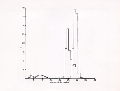 Grafico - asse delle ascisse: numero delle frazioni; asse delle ordinate: E