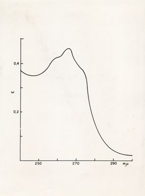 Grafico - asse delle ordinate: E