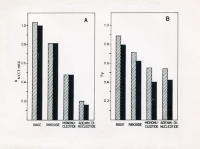 Grafico riguardante i livelli di base, di riboside, di mononucleotide e di adenin-di-nucleotide