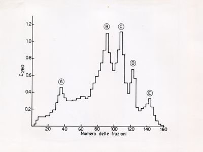 Grafico - asse delle ascisse: numero delle frazioni; asse delle ordinate: E260