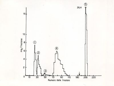 Grafico - asse delle ascisse: numero delle frazioni; asse delle ordinate: mg/frazioni