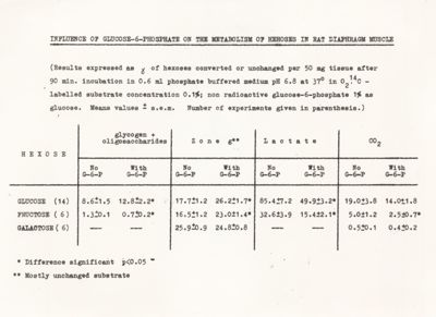 Influenza del glucosio-6-fosfato sul metabolismo degli esosi nel muscolo del diaframma del ratto