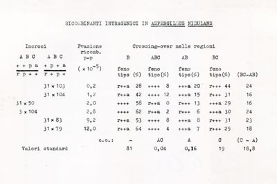 Bioricombinanti intragenici in Aspergillus Nidulans