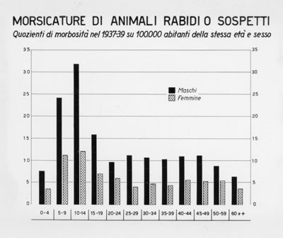 Diagramma riguardante i quozienti di morbosità, per morsicature di animali rabiti o sospetti