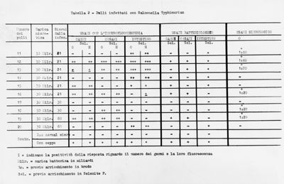 Tabella 2 polli infettati con Salmonella typhimurium