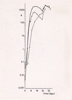 Grafici e tabelle riguardanti "Cellular and Humoral Primary Response in One Intravenous injection of 10 Particles of OX174"