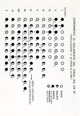 Tabella di esperimenti sull'isolamento di virus