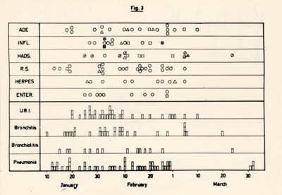 Grafici riguardanti l'isolamento di vari virus: bronchite, bronchiolite e pneumonia